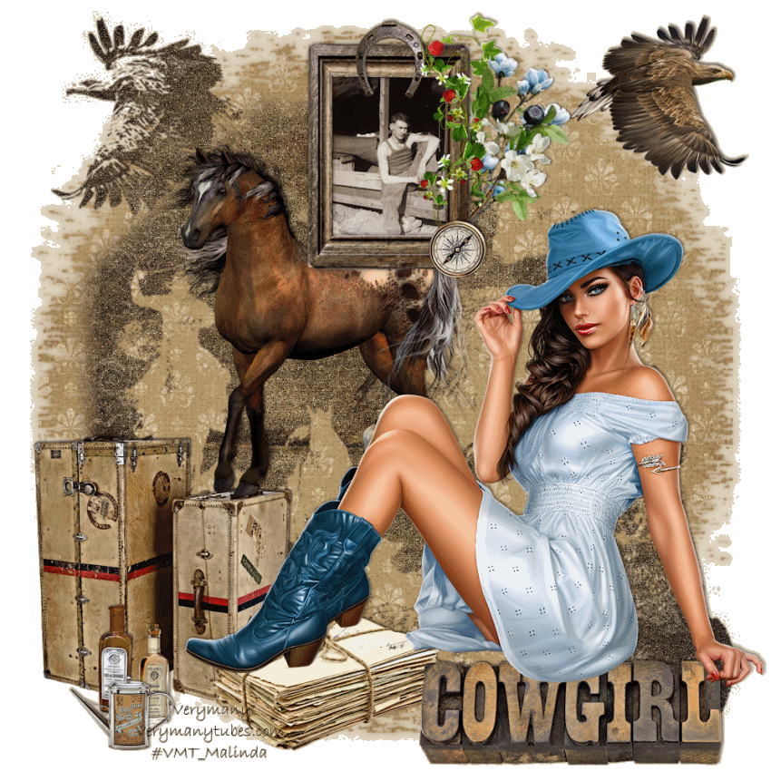 Cowgirl's Dream